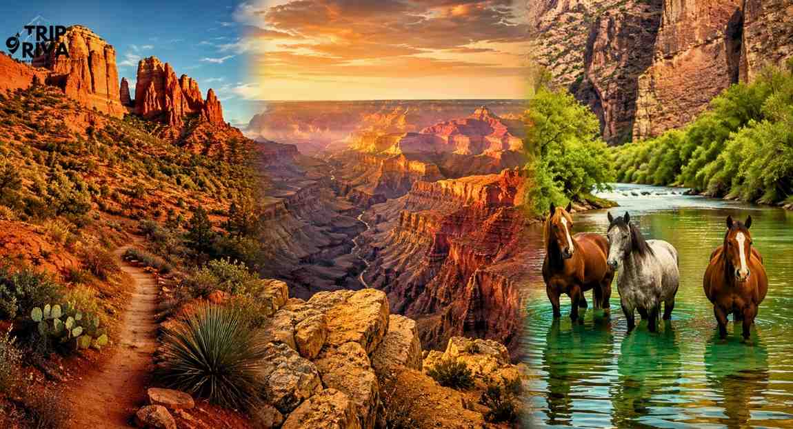 The Ultimate Guide to Day Trips from Phoenix, Arizona (2026